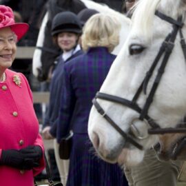 Královna Alžběta II. si sázením na koníčky vydělala 6,7 milionu liber (cca 240 milionů korun)
