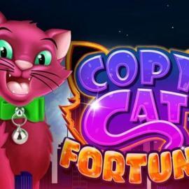 Copy Cat Fortune