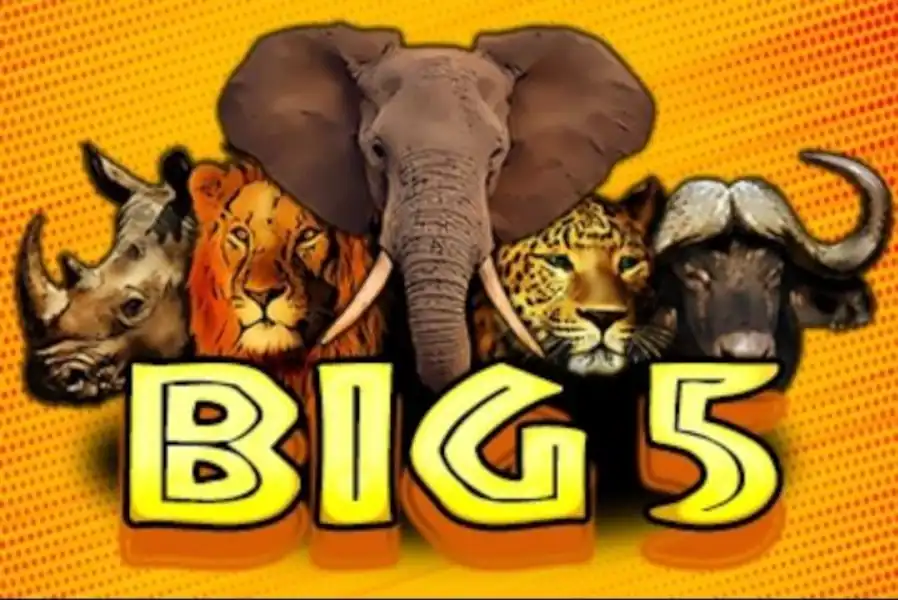 Big 5