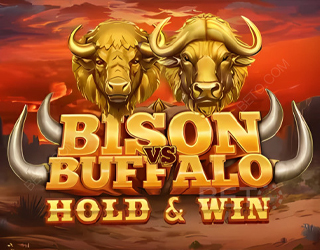Bison vs Buffalo